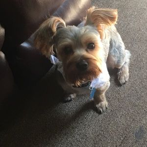 Meet your Posher, Trina